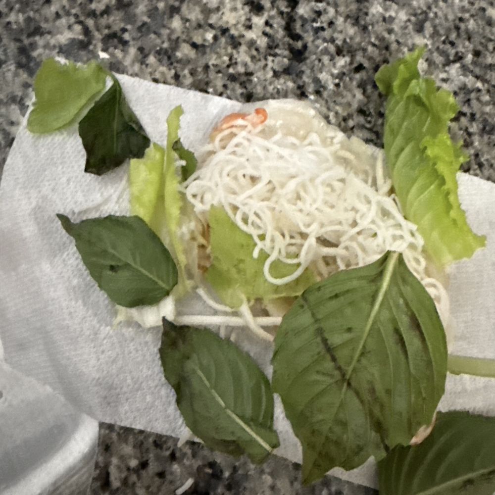 Pho Dalat Vietnamese Restaurant - 2. Spring Rolls (2) - Vietnamese Near Me - Chesapeake, Virginia Pho Dalat Vietnamese Restaurant - 2. Spring Rolls (2) - Vietnamese Near Me - Chesapeake, Virginia