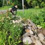 Pacific Landscaping & Construction