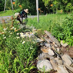 Pacific Landscaping & Construction