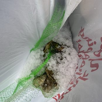 Sen by Kiki - Oysters on ice. (Packaged by Sen) - Flea Markets Near Me - Cincinnati, Ohio Sen by Kiki - Oysters on ice. (Packaged by Sen) - Flea Markets Near Me - Cincinnati, Ohio