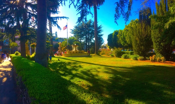 Viña del Mar Park by null