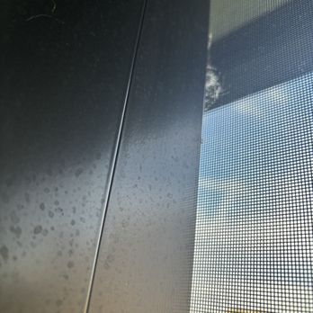 Xtreme - More spider webs after their pressure wash - Pressure Washers Near Me Xtreme - More spider webs after their pressure wash - Pressure Washers Near Me