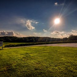 Wild Pickins Winery
