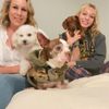 Beach Dog Fun gift card