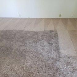 Brandon's Carpet & Cleaning Service - Almost done!