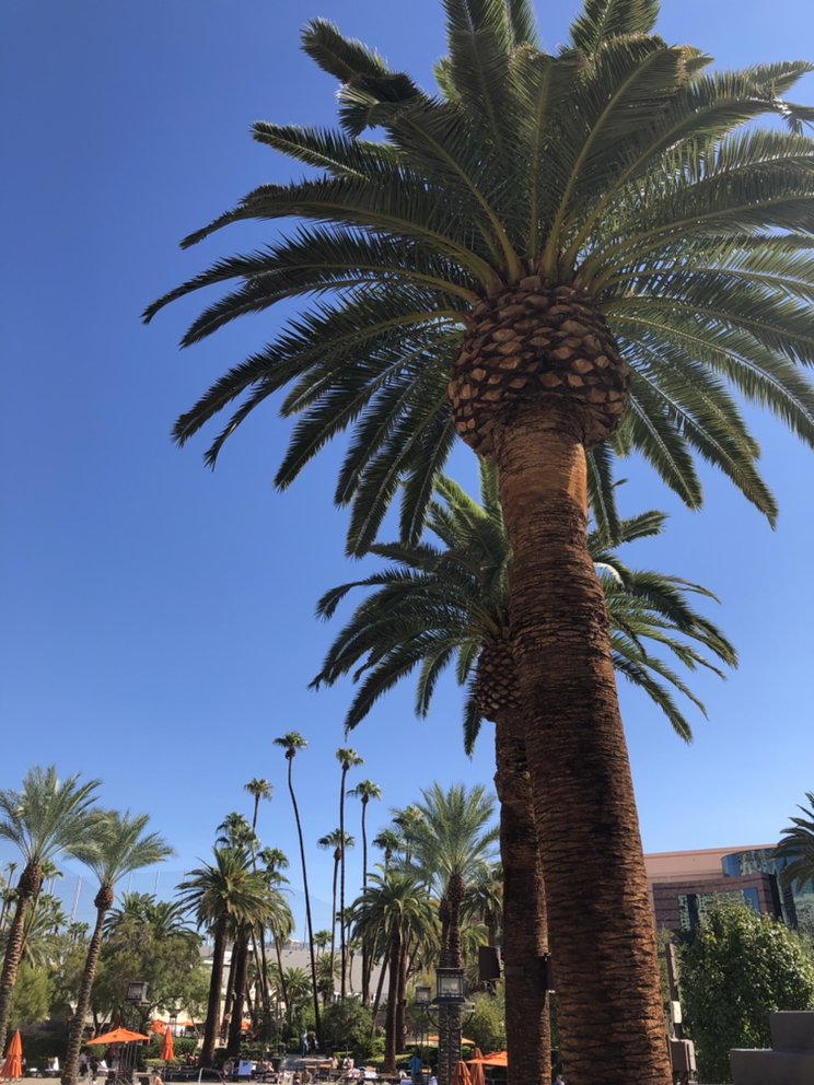 KELLY HALL ROSE & WOMBLE REALTY Updated August 2024 Contact Agent