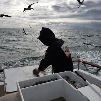 Oceanside Sea Center - Fishing Near Me - Oceanside, California Oceanside Sea Center - Fishing Near Me - Oceanside, California