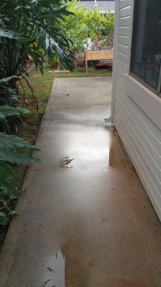 Slide of Papaya Powerwashing