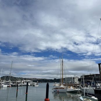 Fish - Seafood Near Me - Sausalito, California Fish - Seafood Near Me - Sausalito, California