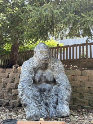 Holiday World & Splashin' Safari by null