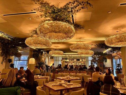 Ema by null Ema by null