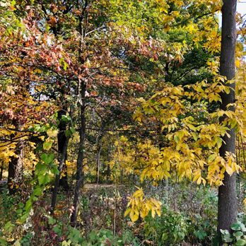 Cantigny - Museums Near Me - Wheaton, Illinois
