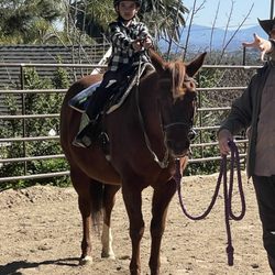 Rockin L & D Ranch