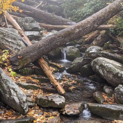 Rainbow Falls Trail by null