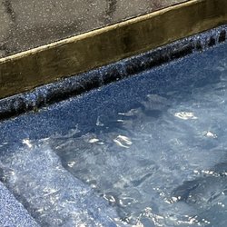Doggie Paddles - This is the left side of the pool. You could see where the paw prints wipe away the black sludge.