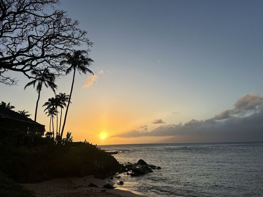 Kapalua Bay Beach by null