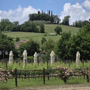 Tenuta Torciano - Wineries Near Me - San Gimignano, SI