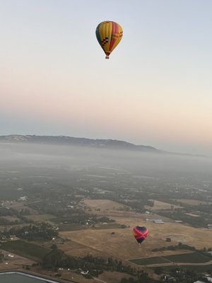 Napa Valley Aloft Hot Air Balloon Rides by null