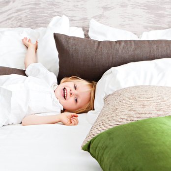 Sleep-Tite Bed Bug Removal - Kid-Safe Bed Bug Removal - Pest Control Near Me - Perkasie , Pennsylvania Sleep-Tite Bed Bug Removal - Kid-Safe Bed Bug Removal - Pest Control Near Me - Perkasie , Pennsylvania