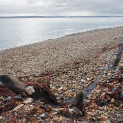 Lepe Country Park - Lepe Country Park, Exbury, Southampton