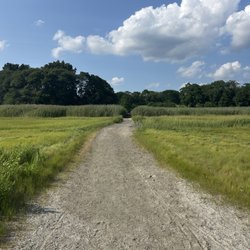 Tillinghast Place