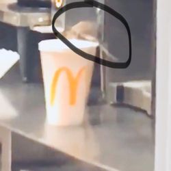 McDonald's - Never Going there again after I saw this Rat.