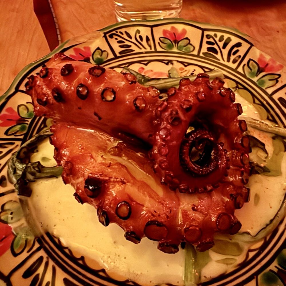 quarter octopus quarter octopus
