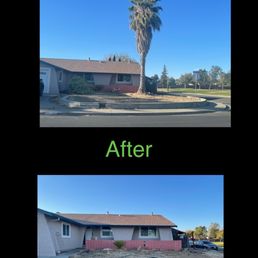 I know bottom pic looks bare but that was the point of removing the tree. Lay the ground work for new begging.