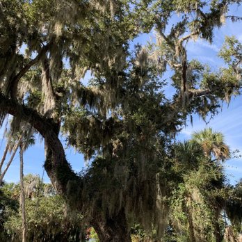 Tomoka State Park - Parks Near Me - Ormond Beach, Florida