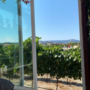 Roche Winery & Vineyards - Wineries Near Me - Sonoma, California