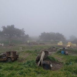 The Paintball Park - From the field