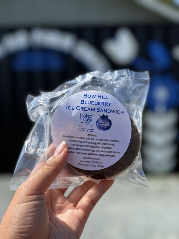 Bow Hill Blueberries Logo