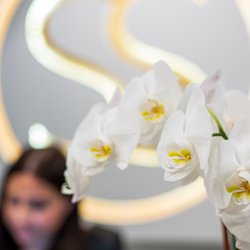 Skin Spa New York - Chestnut Hill