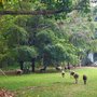 Sacred Heart Novitiate