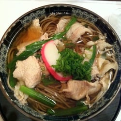 New Koto - Nikku Udon