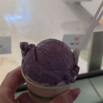 Gati - Blueberry - A hand is holding a small cup of purple vegan ice cream with a white plastic spoon inserted. The background shows a store window with signs and a blurred interior, indicating the ice cream is being enjoyed inside or near a shop. The ice cream appears creamy and is a deep purple color, possibly flavored with berries or a similar ingredient. - Ice Cream & Frozen Yogurt Near Me - Austin, Texas
