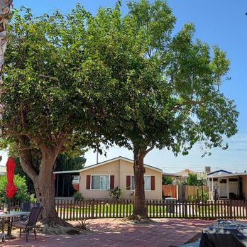 Wilmer’s Tree Service - Tree Services Near Me Wilmer’s Tree Service - Tree Services Near Me