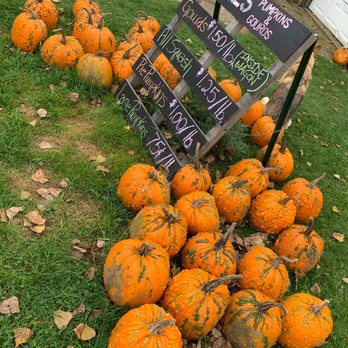 Dole's Orchard - a pile of pumpkins - Farmers Market Near Me - Limington, Maine
