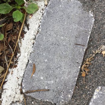 Exotic Pavers - Concrete edging in another area - General Contractors Near Me - Wellington, Florida Exotic Pavers - Concrete edging in another area - General Contractors Near Me - Wellington, Florida