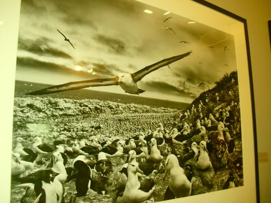 Museu Oscar Niemeyer by null