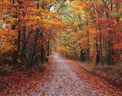 McDowell County, WV Convention and Visitors Bureau by null