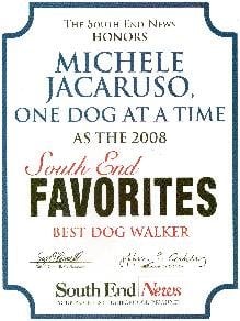 One Dog At A Time - pet boarding facility in Boston, MA