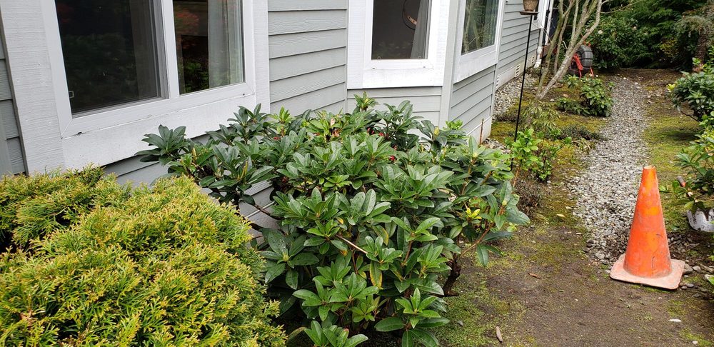 Slide of Bodine Construction Services