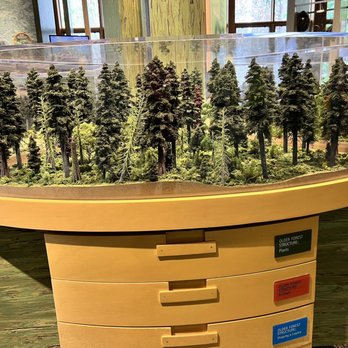 Tillamook Forest Center - Tillamook Forest Center - indoor exhibits - Parks Near Me - Tillamook, Oregon Tillamook Forest Center - Tillamook Forest Center - indoor exhibits - Parks Near Me - Tillamook, Oregon