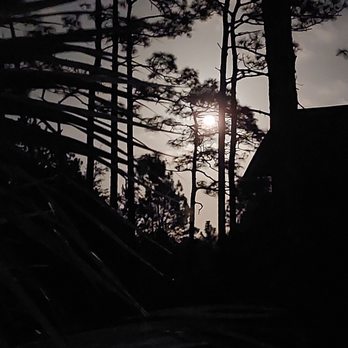 Seminole State Forest - Moon rising - Parks Near Me - Sorrento, Florida Seminole State Forest - Moon rising - Parks Near Me - Sorrento, Florida