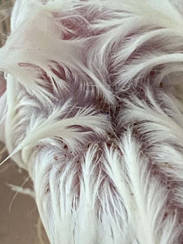 WET PET & REPTILE CENTER Updated July 2024 17 Reviews 429 Eastern