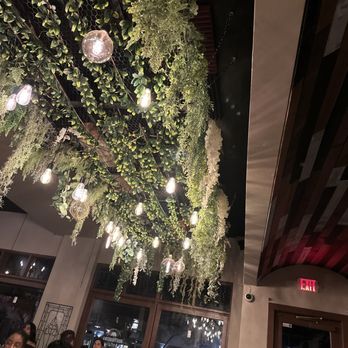 Rusticucina - Such pretty ambiance - Italian Near Me - San Diego, California