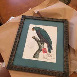 Frame Tree Gallery - Beautifully framed! Now I just need to figure out where to hang it.