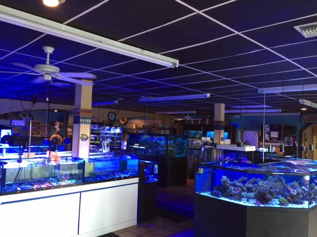 Aquarium and Reef Center Logo