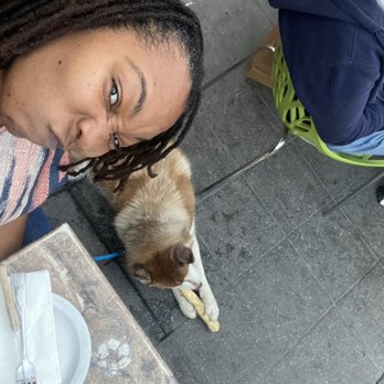 Edwin Mills by Equator - Mean mugging my dog smacking loudly as she chews her - New American Near Me - Pasadena, California Edwin Mills by Equator - Mean mugging my dog smacking loudly as she chews her - New American Near Me - Pasadena, California